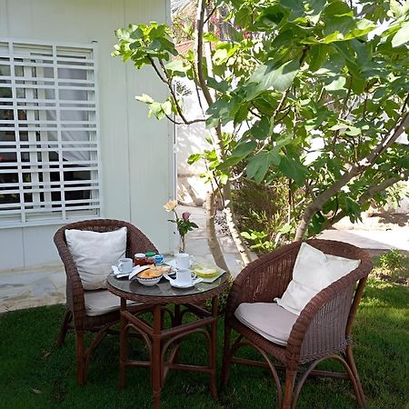 Вілла Au Bout Du Jardin Карфаген Екстер'єр фото