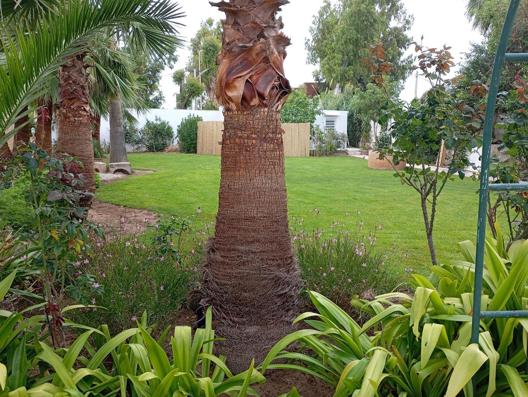 Вілла Au Bout Du Jardin Карфаген Екстер'єр фото